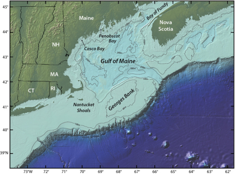 An elevated area of the sea floor between Cape Cod and Nova Scotia, Georges Bank is one of the best  ... 