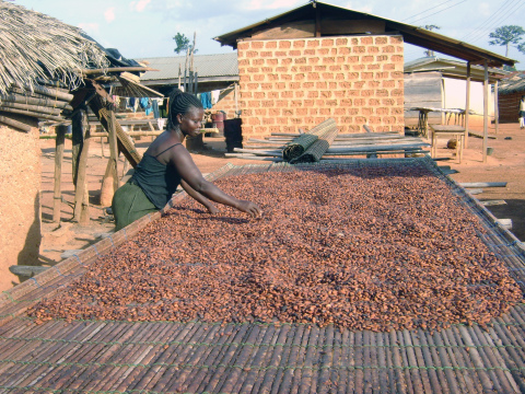 The Hershey Company's cocoa sustainability projects include leadership and economic training for wom ... 