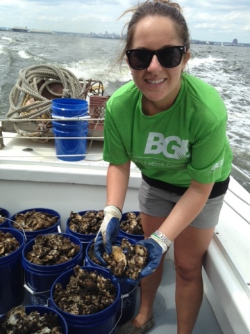 BGE volunteer Stephanie Leach prepares to plant the oysters from the Inner Harbor oyster gardens tha ... 