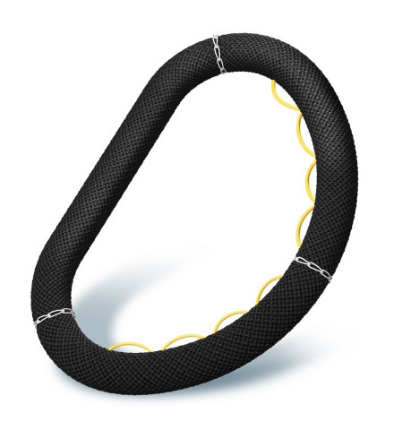 Memo 3D Rechord annuloplasty ring (Photo: Business Wire)