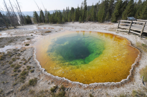 Photograph of Morning Glory Pool from August 23, 2012 (Credit: Joseph Shaw, Montana State University ... 