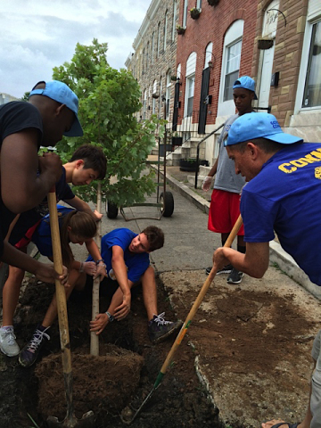 Volunteers with the Baltimore Tree Trust plant trees in Baltimore City provided by BGE through the B ... 
