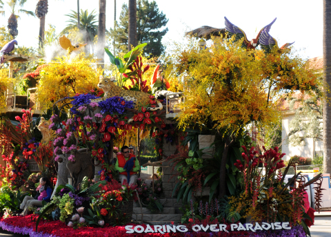 Dole Packaged Foods was one of eight floats built by Fiesta Parade Floats to earn top awards for the ... 