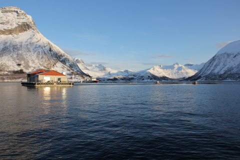 Kvaroy fish farm in Norway where In the Blue feed was used to create the first ever farmed salmon with a fish-in, fish-out ratio below 1-to-1. The feed is also the first to remove environmental contaminants, creating a cleaner finished salmon that ends up on dinner plates. (Photo: Business Wire)