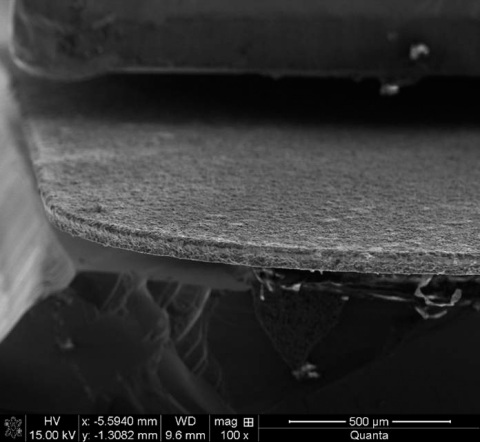 Edge of Enevate’s silicon-dominant anode magnified at 100X. Enevate’s self-standing monolithic anode ... 