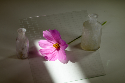 ‘Invisible Wires’ Grid Transports Electricity across the Surface of SolarWindow™ Coatings (Photo: Bu ... 