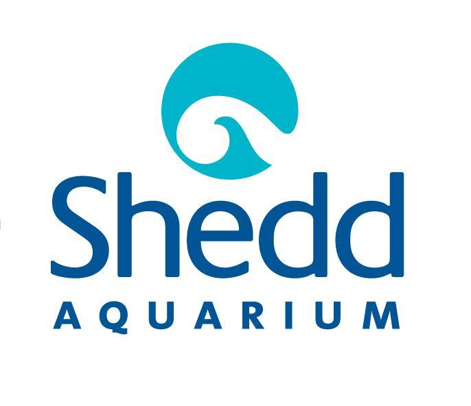 ADDING MULTIMEDIA Dawn� and Shedd Aquarium Inspire Next ...