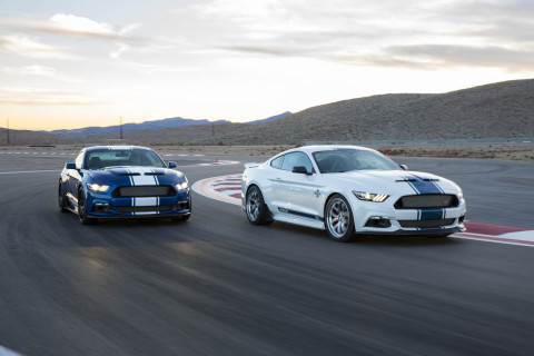 50th Anniversary Shelby 