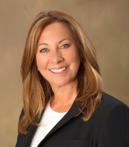 Financial services industry veteran Chris Petersen will oversee sales and relationship management at ... 