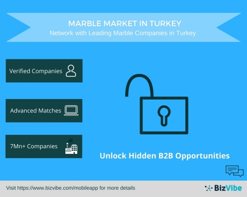 New B2B Networking Platform for Marble Companies in Turkey by BizVibe (Graphic: Business Wire)
