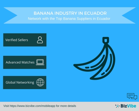 Banana Suppliers in Ecuador - BizVibe Announces a New B2B Networking Platform for the Banana Industr ... 