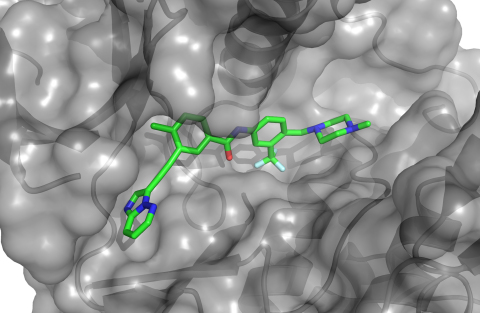 The structure of Iclusig(TM) (ponatinib) bound to KIT, an oncogenic driver found in approximately 80 percent of patients with gastrointestinal stromal tumors (GIST). (Photo: Business Wire)