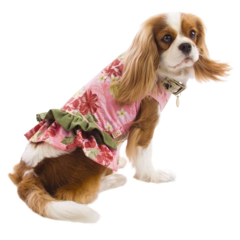 tommy bahama dog shirt