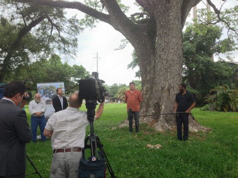 Paul Cox, vice president at Environmental Design, the nation’s premier mover of giant and endangered trees, provides an overview on Earth Day 2013 of the Fort Lauderdale Rain Tree preservation process. (Photo: Business Wire)