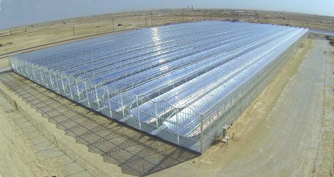 GlassPoint's Enclosed Trough technology harnesses energy from the sun, to produce emissions-free steam for Petroleum Development Oman's (PDO) thermal EOR operations at its Amal West field in Southern Oman. (Photo: Business Wire)