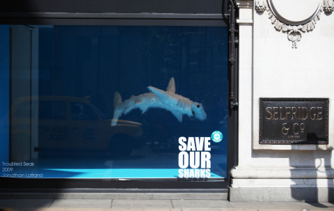 Selfridges Project Ocean 'Save Our Shark's campaign window (Photo: Business Wire)