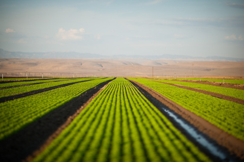 Chipotle to use more than 15 million pounds of local produce in 2013. (Photo: Business Wire)