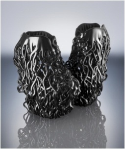 Stratasys Connex 3D printed shoes, designed by Rem D Koolhaas for Iris van Herpen Paris Fashion Week Couture Show Collection - July 2013 (Photo: Stratasys Ltd.)