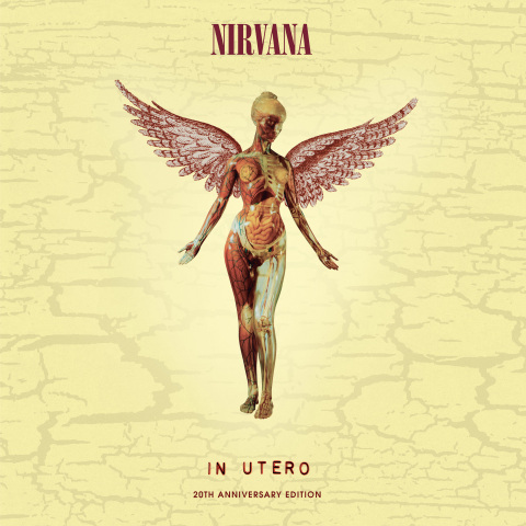Nirvana In Utero 20th Anniversary Edition (Photo: Business Wire)