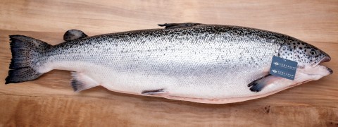 Verlasso(R) is the first ocean-raised farmed Atlantic salmon to receive a Monterey Bay Aquarium(R) Seafood Watch(R) 'Good Alternative' buy ranking (Photo: Business Wire)