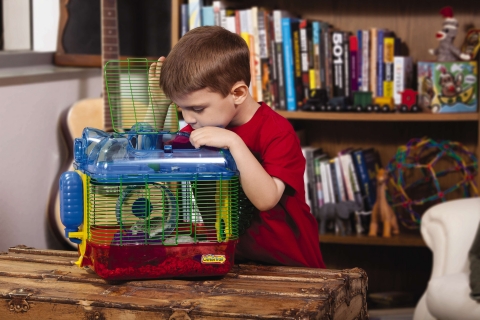 Classroom pets are great for kids because they can be easy to care for and demonstrate unique behaviors that can get everyone excited about learning. (Photo: Business Wire)