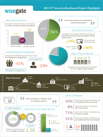 Wisegate 2013 IT Security Benchmark Report Highlights (Graphic: Business Wire)