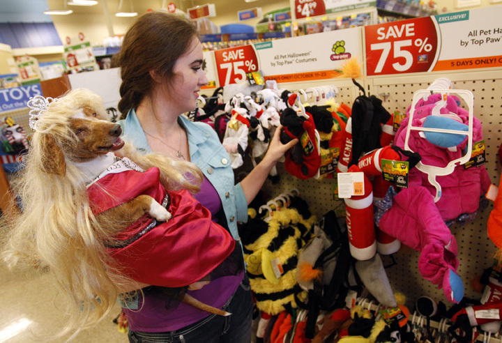 Consumers spend $330 million on Halloween pet costumes – The