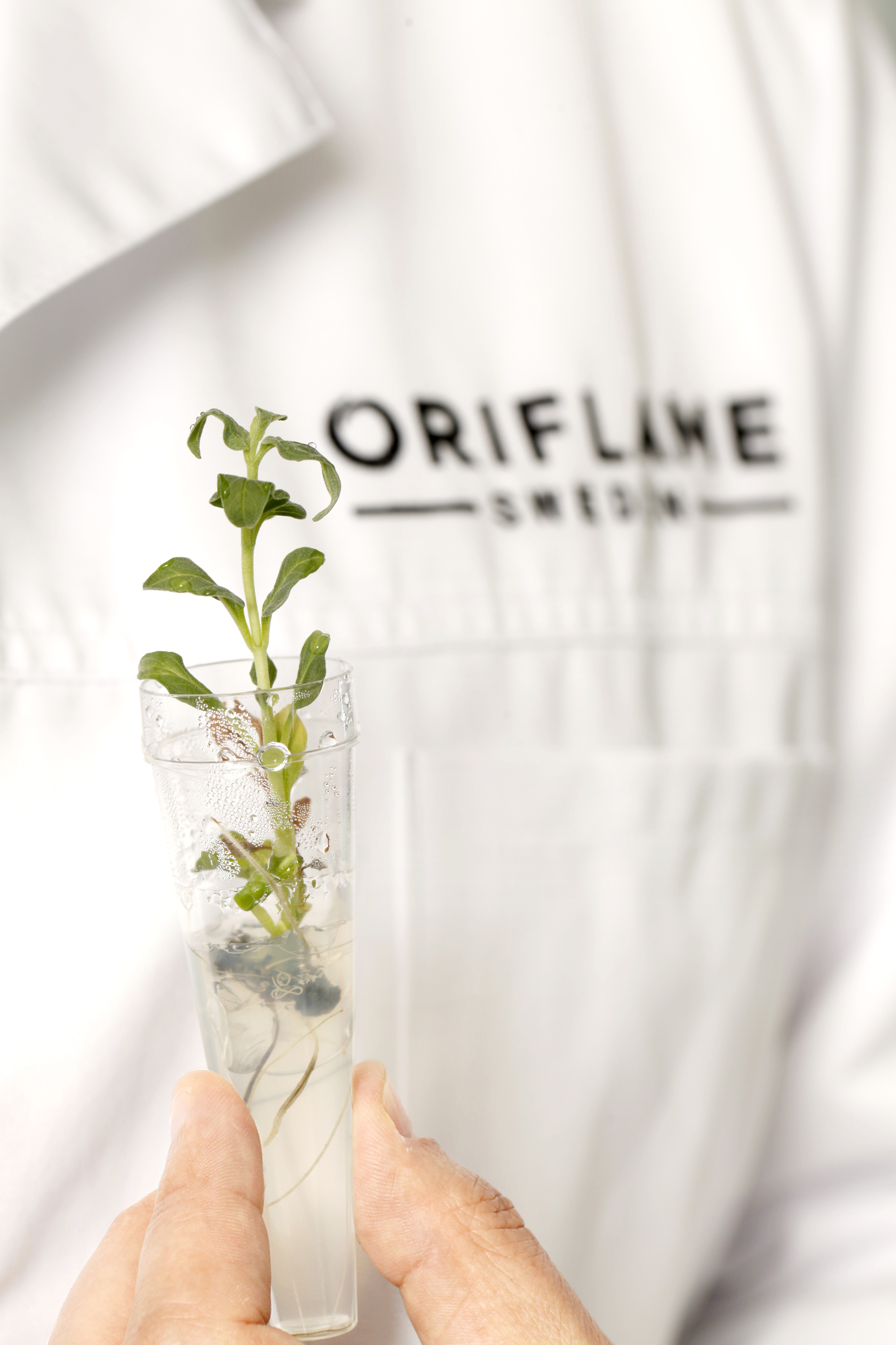 欧瑞莲投资植物干细胞开创性技术 Business Wire