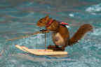 Ben & Jerry’s Scotchy Scotch Scotch launch event featured – what else? – a water skiing squirrel.