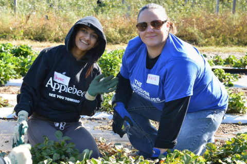 Volunteers from Applebee's franchisee Potomac Family Dining and The Mission Continues marked the inaugural event for The Mission Continues' Washington, D.C., Service Platoon on Saturday, Oct. 26, at an orchard in Beltsville, Md. The group of 60 volunteers harvested 1,000 servings of produce for Bread for the City, a Washington, D.C.-area nonprofit that provides food to vulnerable residents. (Photo: Business Wire)