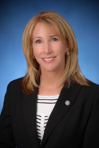 Terri L. Gill, CCIM Joins the Salin Bank Team (Photo: Business Wire)