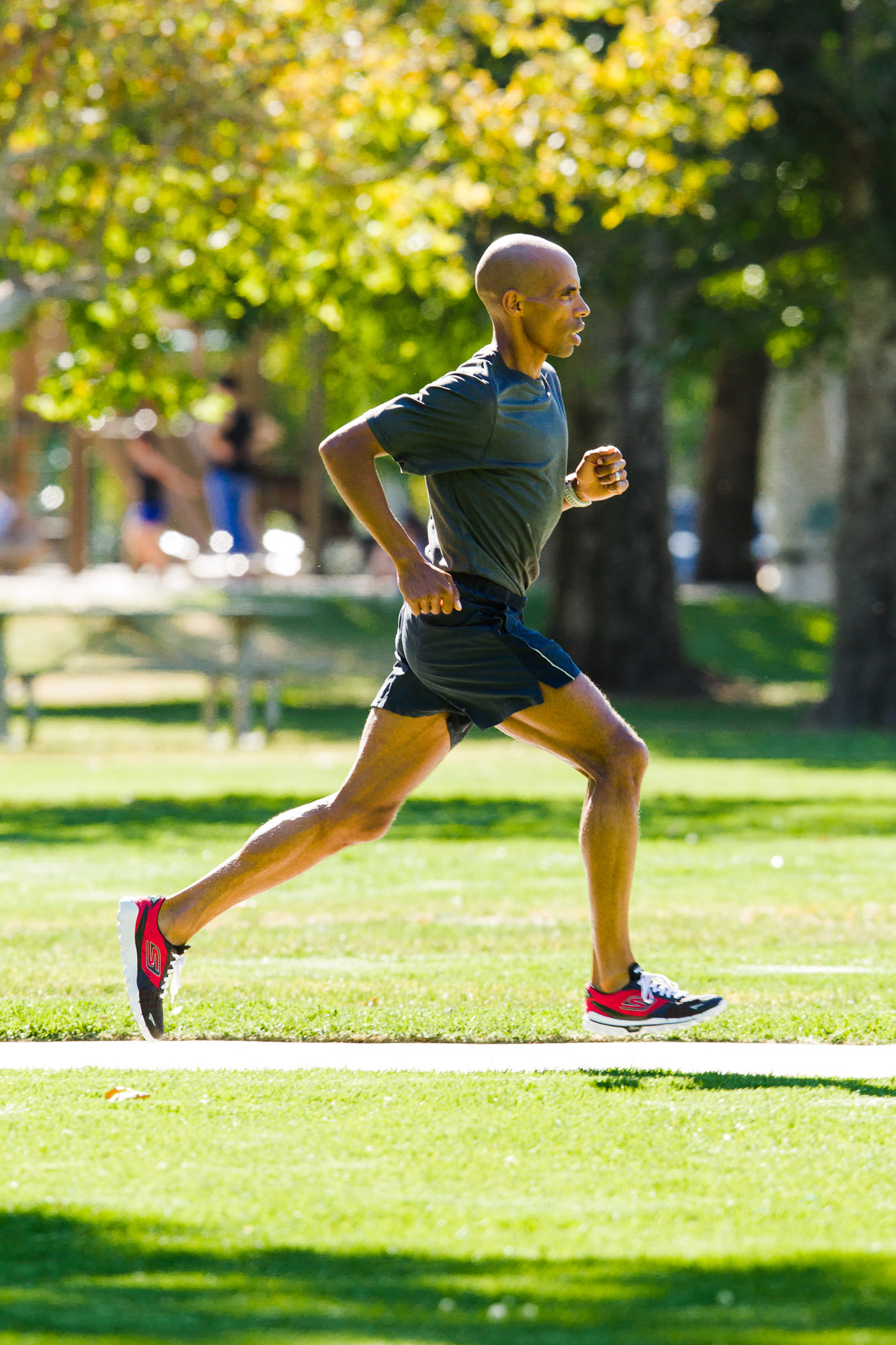 Skechers Performance Division Extends Multi-Year with Elite Runner Meb | Business Wire