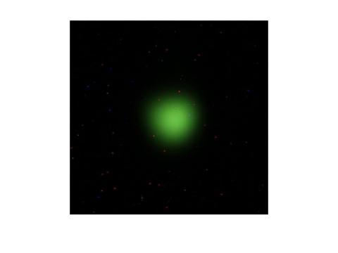 Acceptance Test Results of ProTom International Proton Therapy