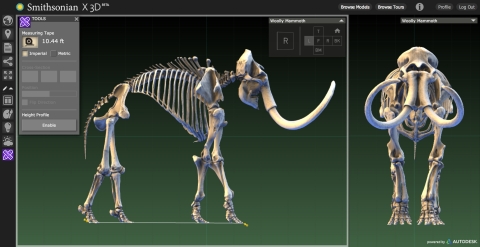 This digitization of a wooly mammoth allows students to study and measure the fossil in detail. (Photo: Business Wire)