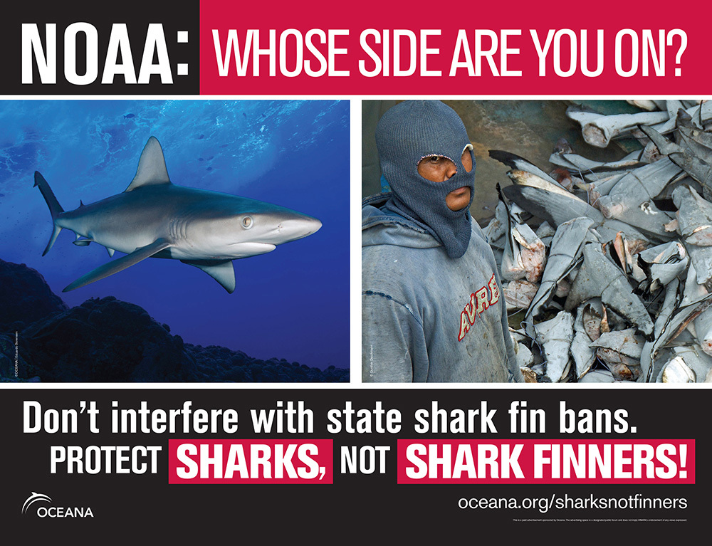 Shark fin bans - The Washington Post