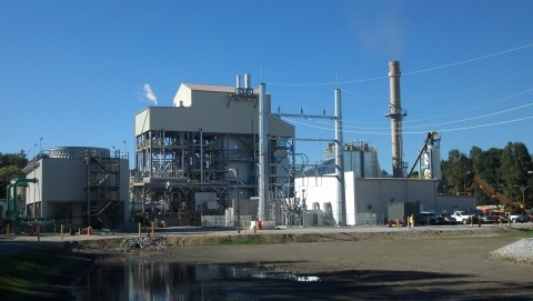 Dorchester biomass plant in Harleyville, South Carolina. (Photo: Business Wire)