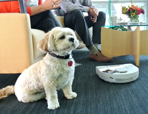 The Neato robot vacuum picks up pet hair better than any other robot vacuum tested, according to CNET. (Photo: Business Wire)