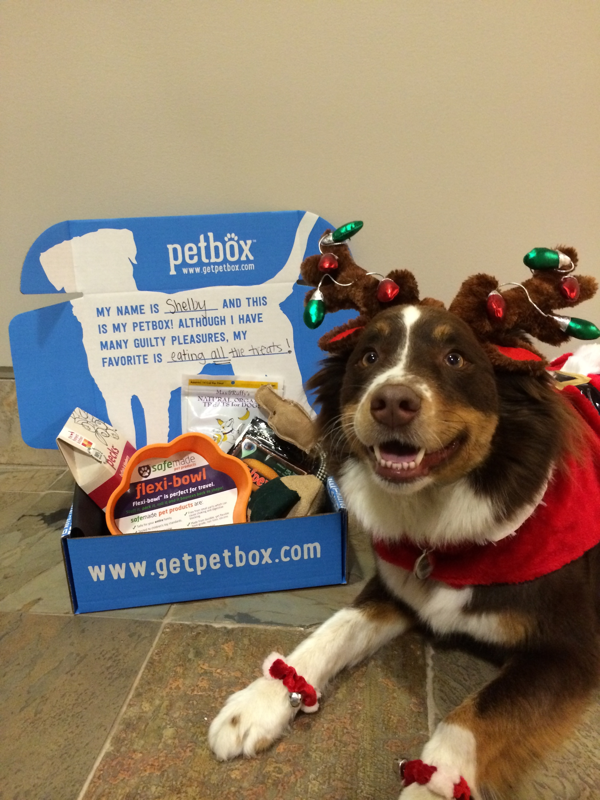Woof for PetBox This Holiday Season 