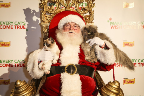 Friskies "spokescat" Grumpy Cat and Colonel Meow sit on Santa's lap at the world premiere event to debut the first-ever holiday music video "Hard to Be a Cat at Christmas" supporting the cause of wet cat food for all cats this holiday season, Tuesday, Dec. 10, 2013, at Capitol Records in Los Angeles. The video is available at www.friskies.com/holiday. (Bret Hartman/AP Images for Friskies)