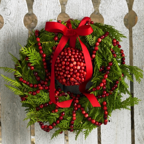 Deck the halls of your holiday party with this Cranberry Holiday Wreath using Ocean Spray(R) fresh cranberries. For more holiday recipes and crafts, visit Ocean Spray's Plan-It guide at www.oceanspray.com. (Photo: Business Wire)