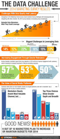 StrongView 2014 Marketing Trends Survey (Graphic: Business Wire)