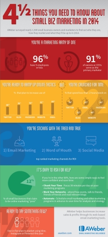 4 1/2 Things You Need To Know About Small Biz Marketing In 2014 (Graphic: Business Wire)