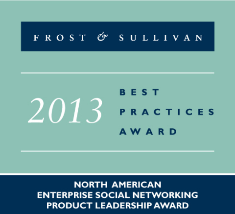 Igloo Software Wins Frost & Sullivan's 2013 Global Product Leadership Award for Enterprise Social Networking. (Graphic: Business Wire)
