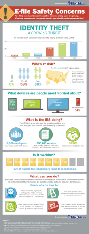 E-file Safety Concerns (Graphic: Business Wire
