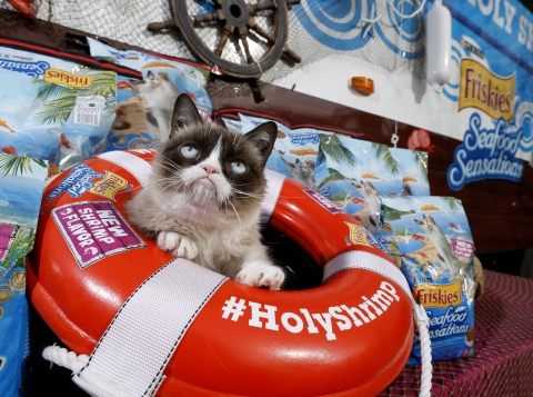 Grumpy Cat, Friskies' "Official Spokescat," earns her rank as "Worst Mate" aboard the S.S. Holy Shrimp Boat in Austin on Friday, March 7, 2014 to introduce Friskies Seafood Sensations with NEW shrimp flavor and deliver a bounty of the new food to local Austin shelter cats. (Erich Schlegel/AP Images for Friskies)

