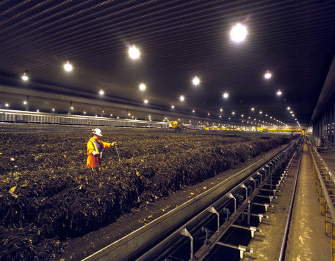 SENA Waste Services employees working at the Edmonton Waste Recycling Facility's aeration hall. (Photo: Business Wire)