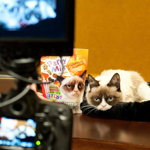 For the first time ever, Friskies Party Mix will be featuring Grumpy Cat on new packaging, which hits store shelves beginning this month (Photo: Business Wire)