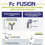 Infographic on medicines developed using Fc fusion