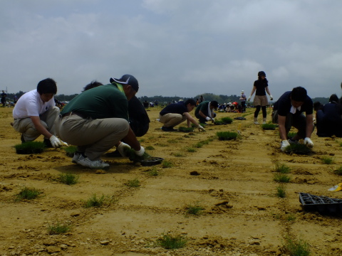 Local volunteers and Menicon staff worked side-by-side laying fresh sod at the Soma Koyo Football Ground. (Photo: Business Wire)