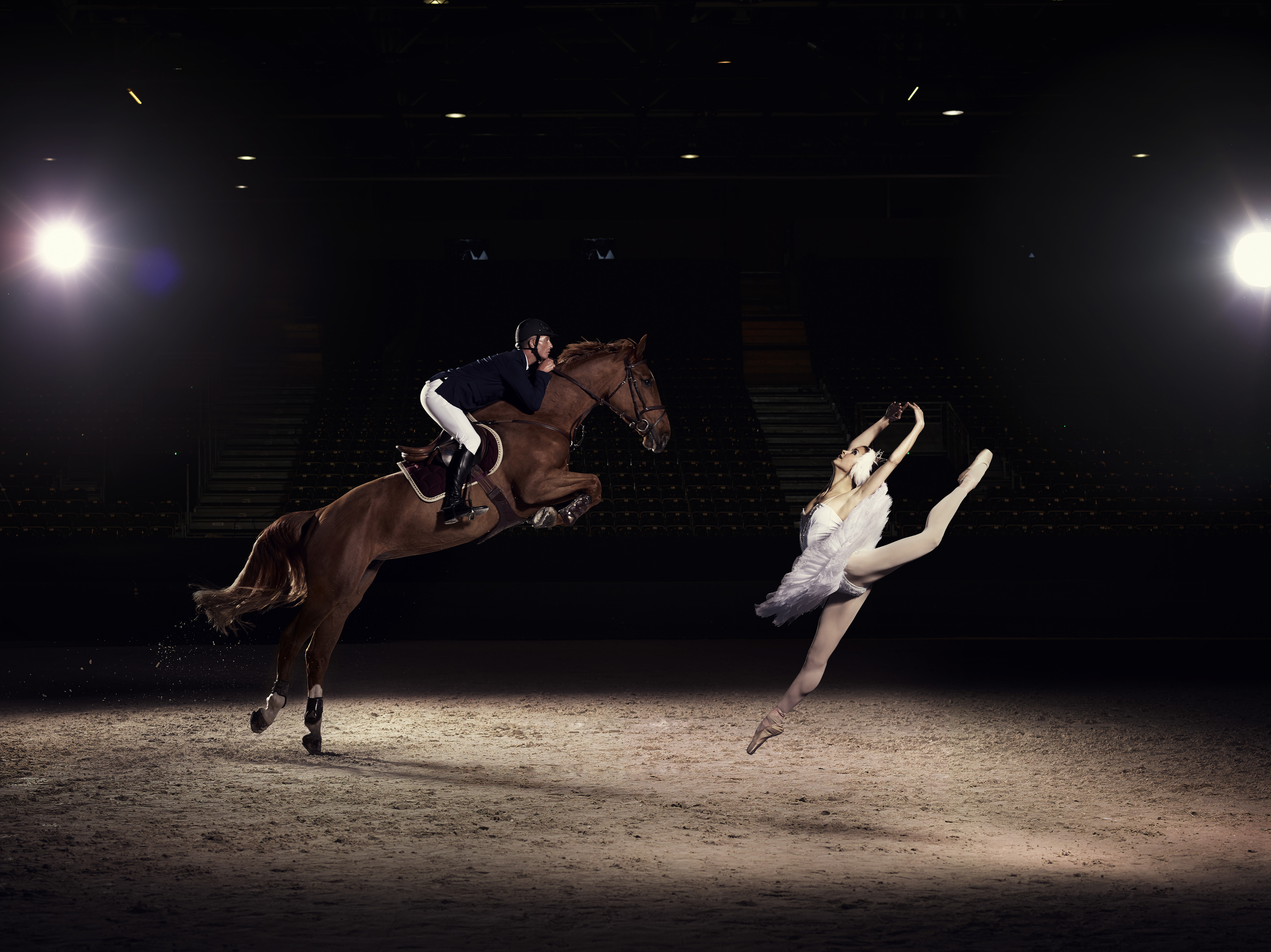 Танец лошадки. Конный театр Зингаро Франция. Танец с лошадью. Балерина и лошадь.